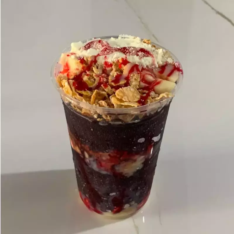 AÇAÍ TRADICIONAL 300ML N°3