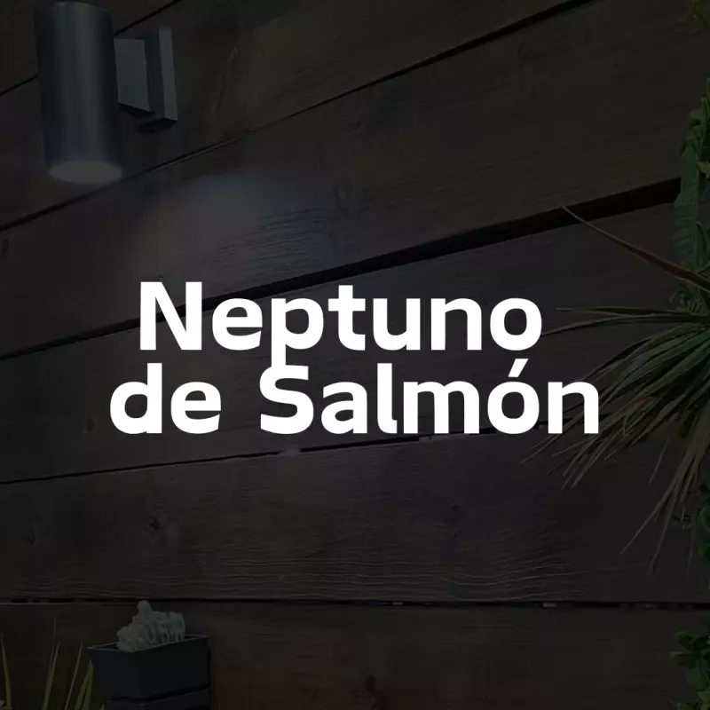 Neptuno de Salmón