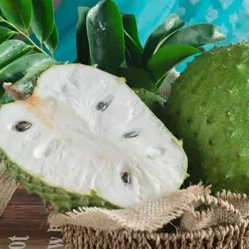 Polpa de graviola fracionada10pacote