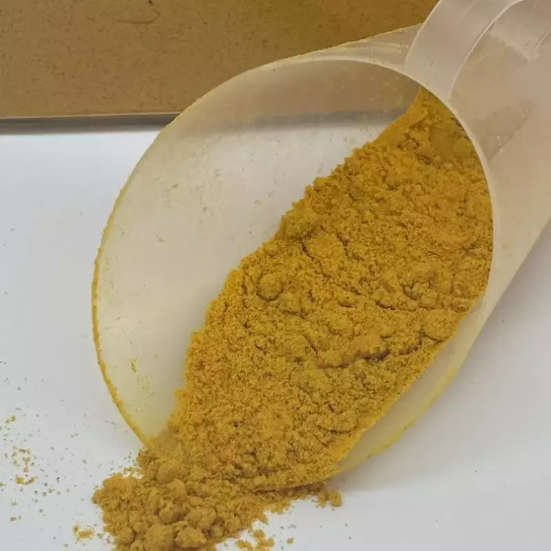 Açafrão Puro(cúrcuma)