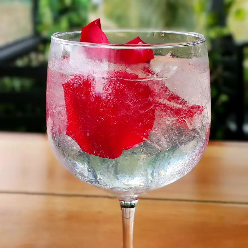 GIN & TONIC HENDRICK'S