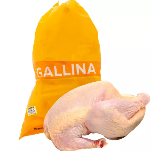 GALLINA