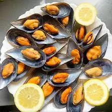 Mejillones