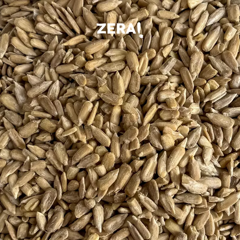 SEMENTE DE GIRASSOL CRUA