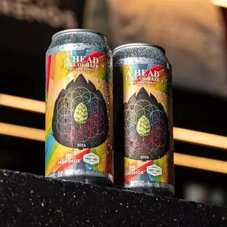 A HEAD FULL OF HAZE