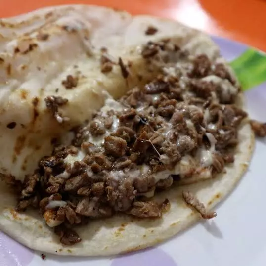 Gringa de bistec