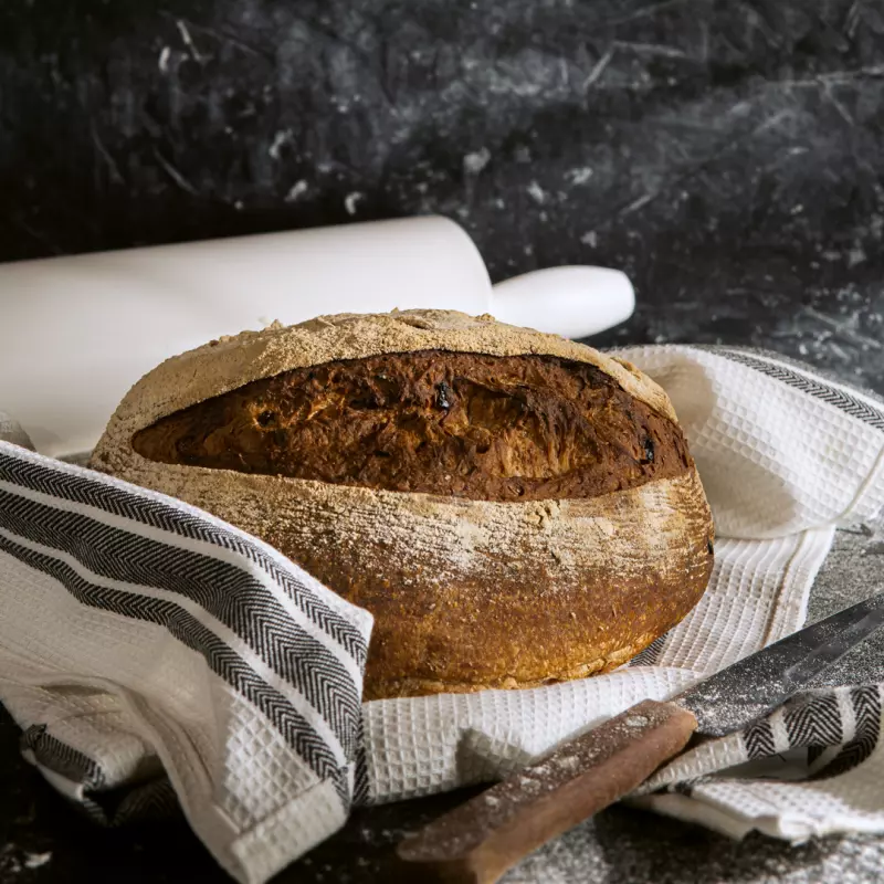 Masa Madre de Chocolate y Cocoa