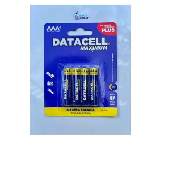 R10143-PILAS DATACELL AAA+