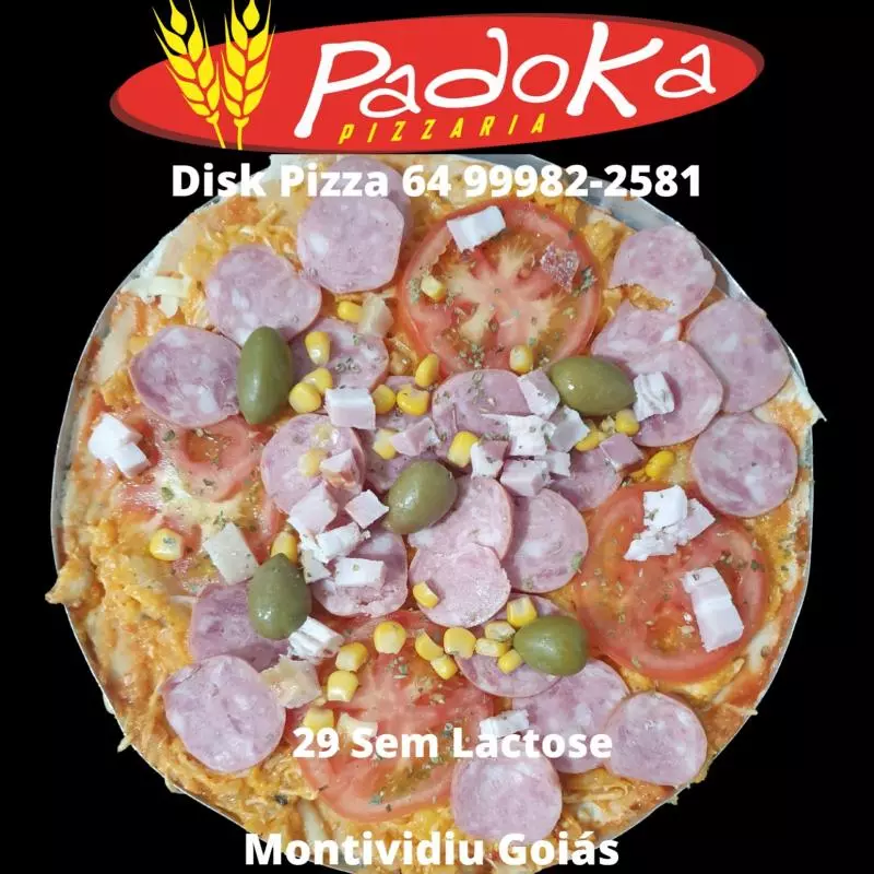 29 Sem Lactose
