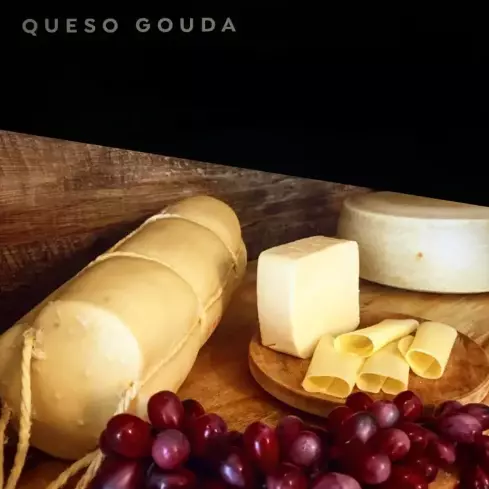 GOUDA