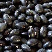 FRIJOL NEGRO CRIOLLO 1 KILO