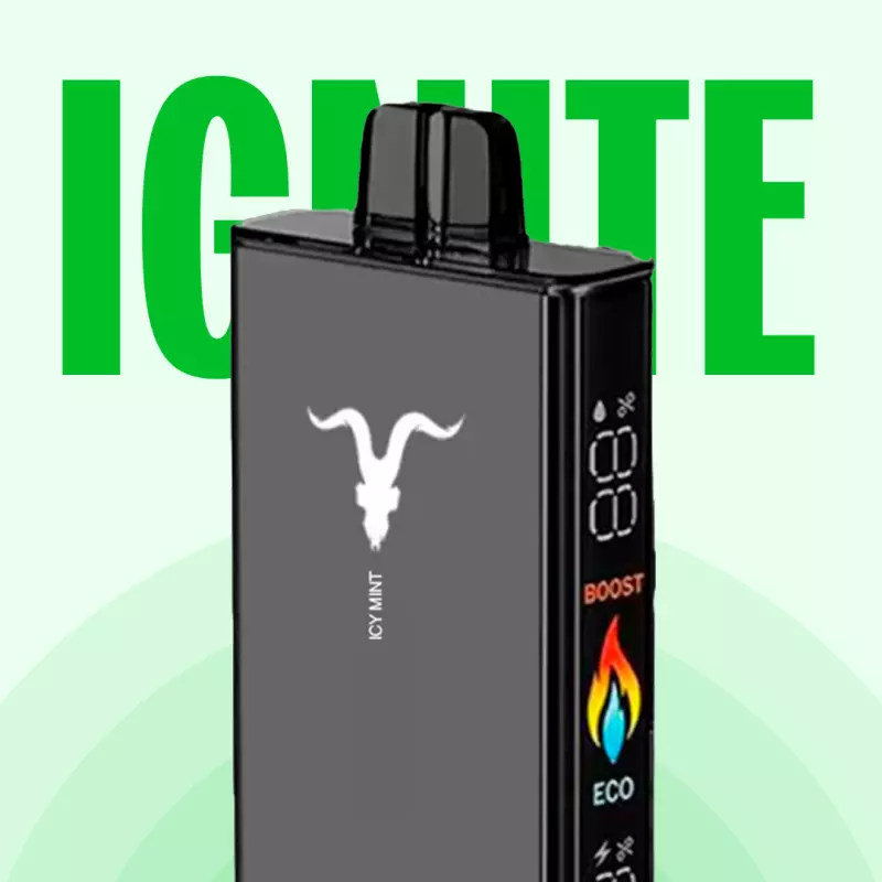IGNITE V250 BLACK - 25.000 PUFFS💨