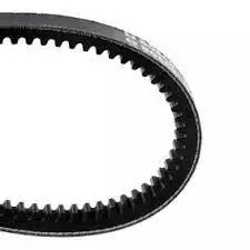 Correa del alternador