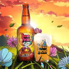 HOCUS POCUS ORANGE SUNSHINE 500 ML