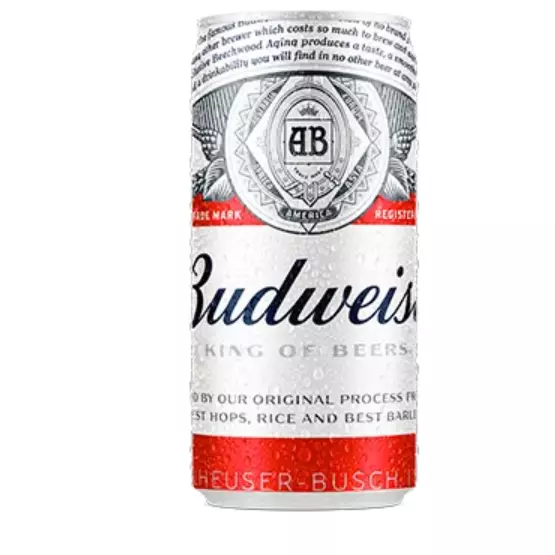 Cerveja Budweiser 269 ml