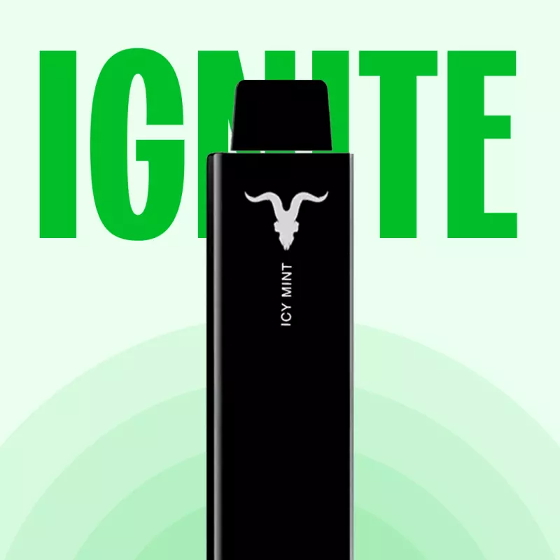 IGNITE V6 - 600 PUFFS💨