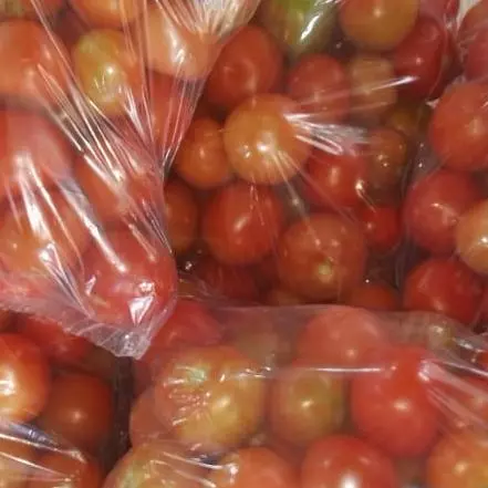 TOMATE BOLITA 2 K EMPACADO