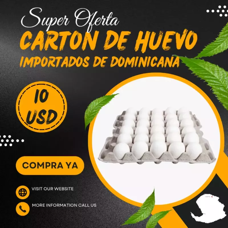 Cartón de Huevo importado