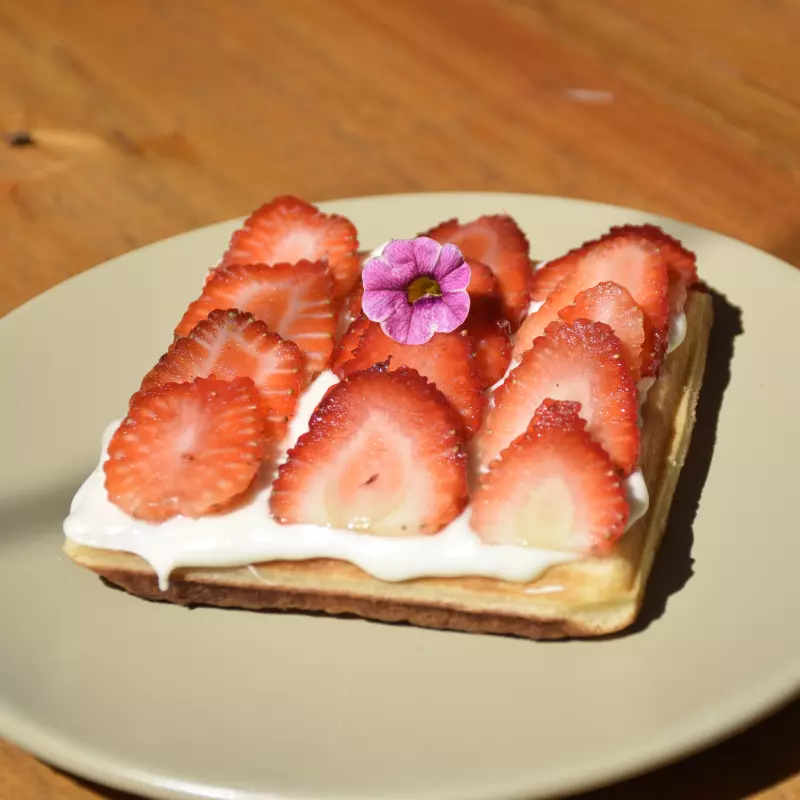 Waffle de Chocolate Branco c Morango