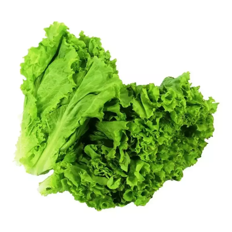 Lechuga francesa x250gr (5)