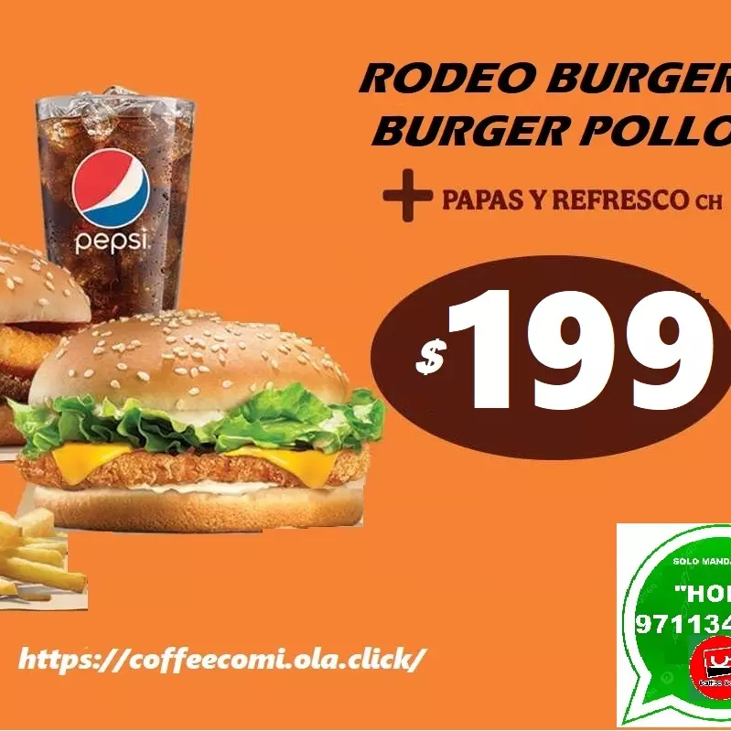 Paquete 📦 Rodeo Pollo.🐔