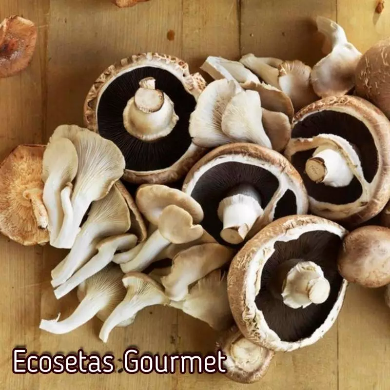 Mix de Setas Aprox. 500gr