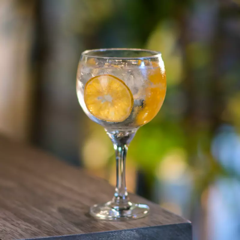 Gin de Naranja