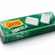 PASTILHA DE HORTELÃ GAROTO