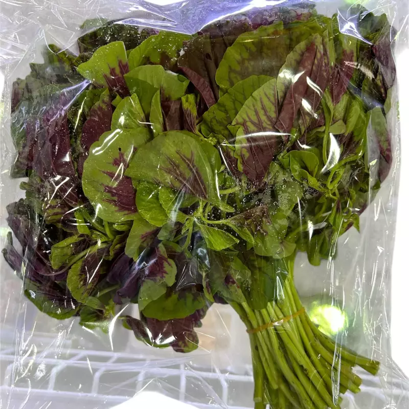 一包红苋菜 espinaca roja