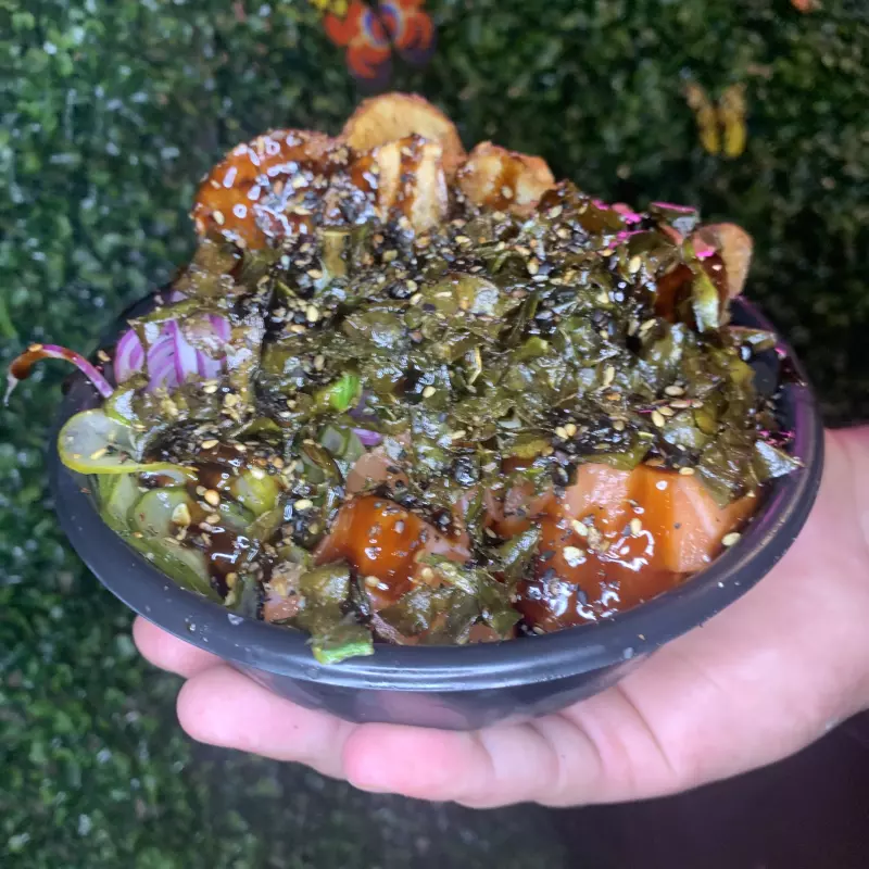 Monte seu Poke Meiji (NEW)