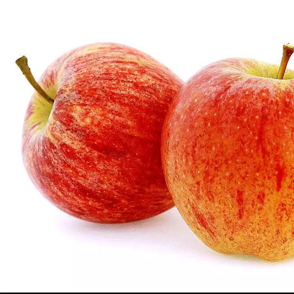 Manzana Gala 1 und