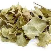 BOLDO (PCT 200g) FOLHAS