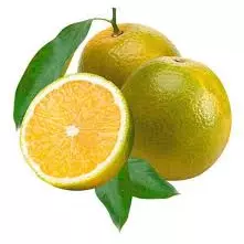 Laranja Pera Rio