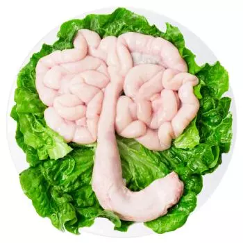 INTESTINO DE CERDO 猪生肠