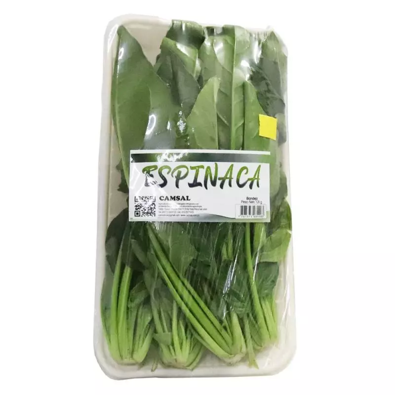 Espinaca tierna camsal