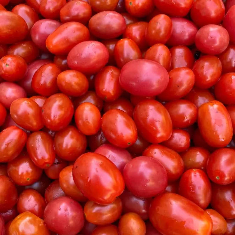 Tomate cereja - Néia