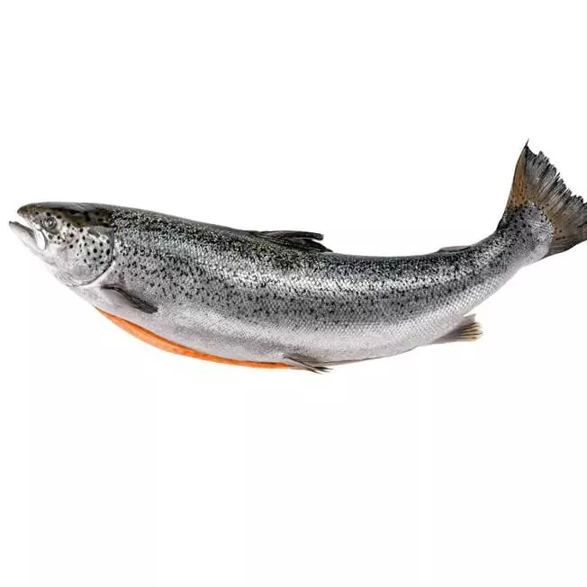 Salmão Inteiro Eviscerado