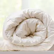 EDREDONES DE PLUMAS O BORDADOS