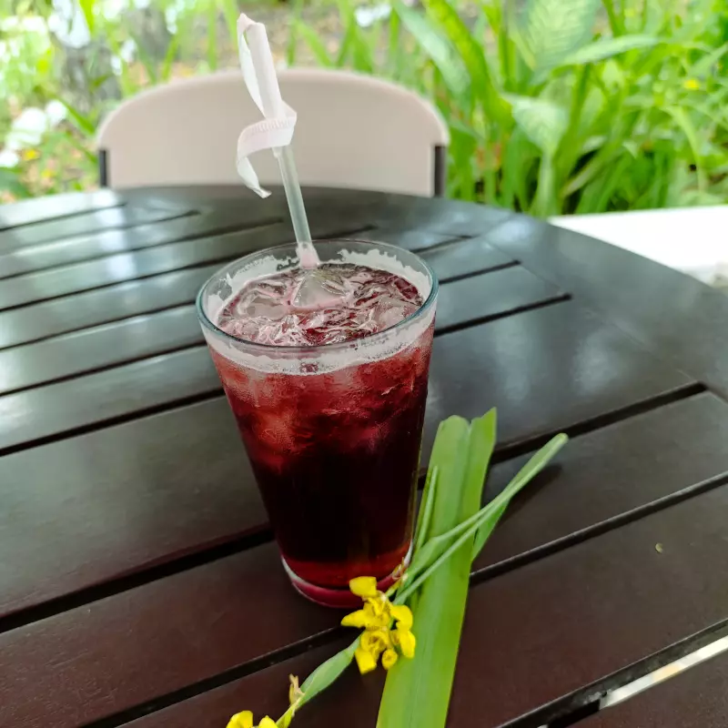 TINTO DE VERANO