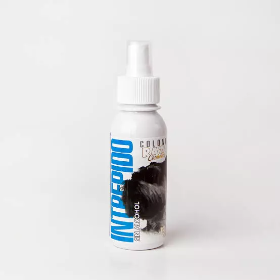 Colonia Intrépido 120 ML