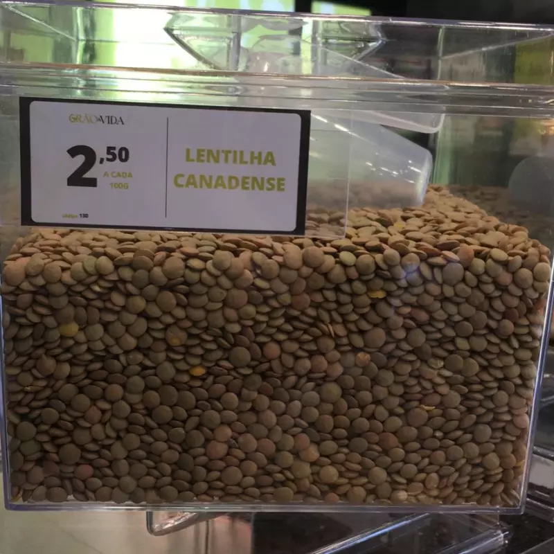 Lentilha Canadense