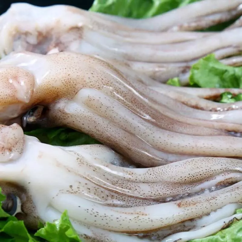 ARAÑITAS  鱿鱼仔