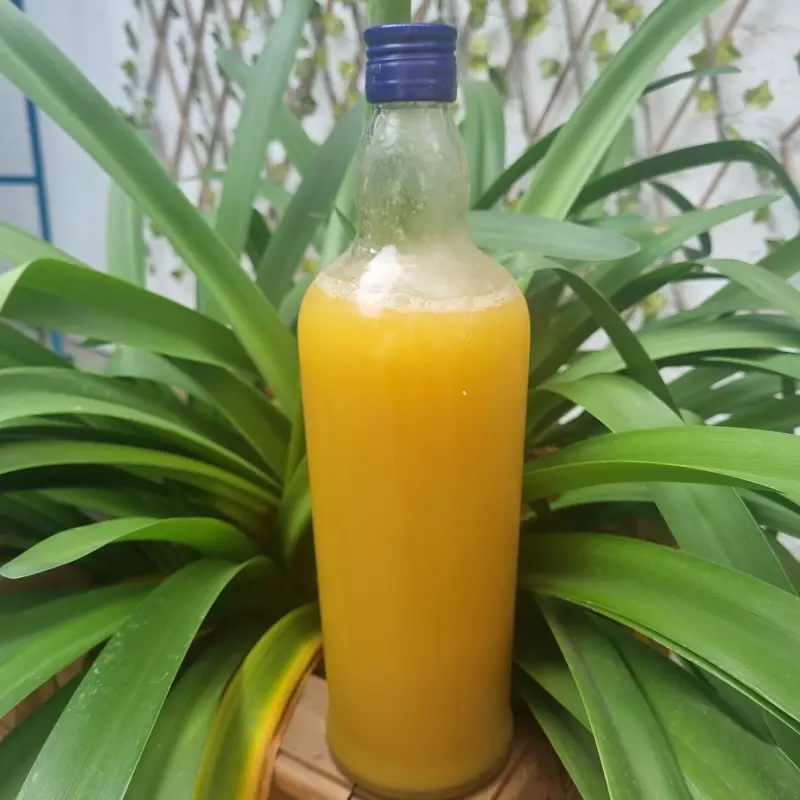 Litro de Mango Sour