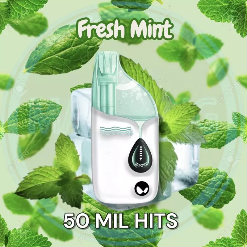 Fresh Mint
