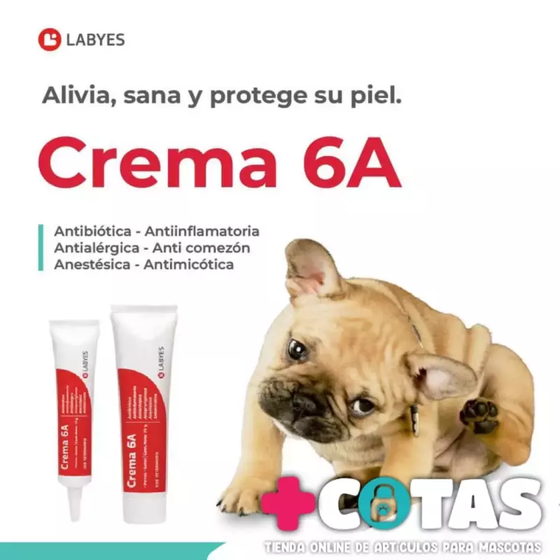 CREMA 6A
