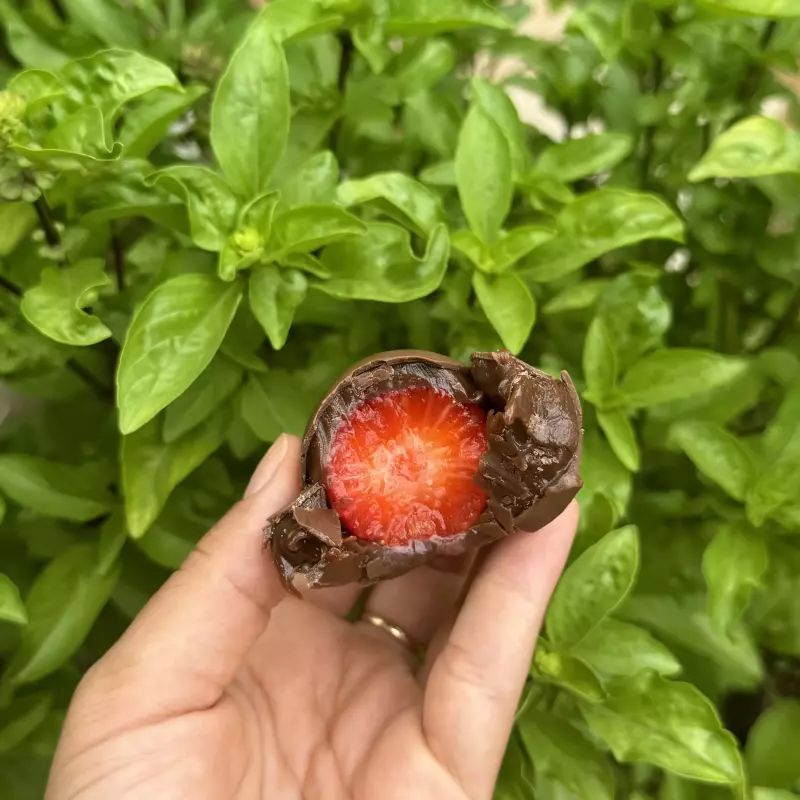 Bombom com brigadeiro