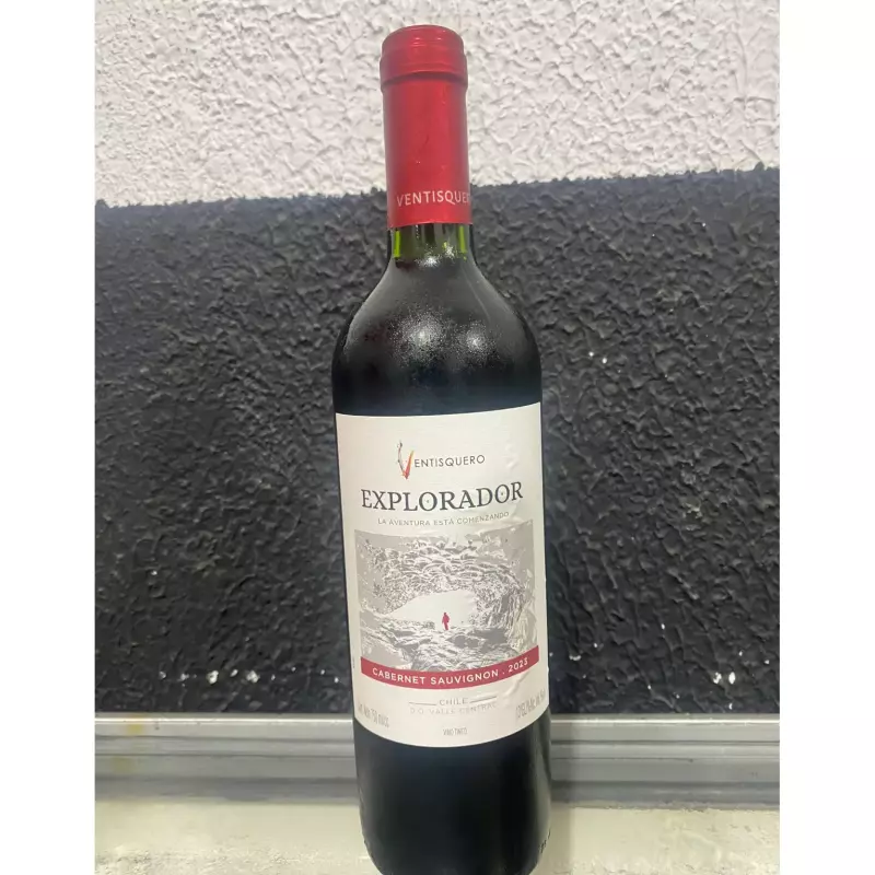VINHO EXPLORADOR CABERNET