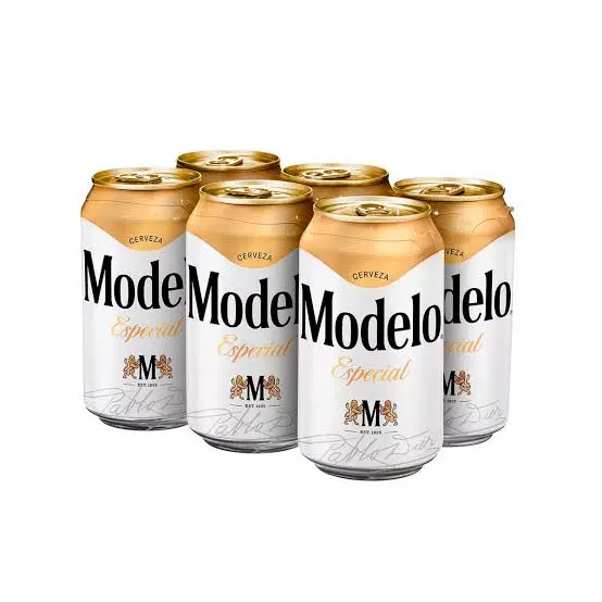 MODELO ESPECIAL