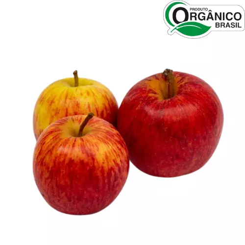Maça Nacional Orgânica