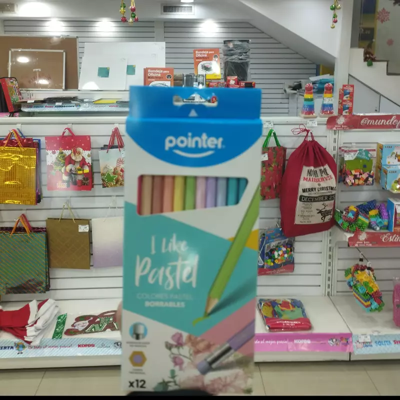 Creyones borrables Pointer 12 piezas